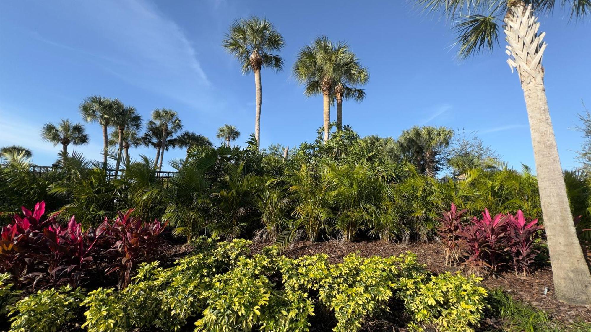 Wyndham I-Drive Avanti Resort & Conference Center Orlando Bagian luar foto